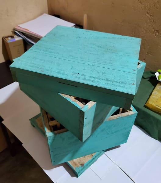 Bee hive